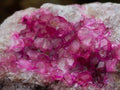 Natural Rare Hot Pink Spherocobaltite Specimen x 1 From Mashamba West Mine, Congo