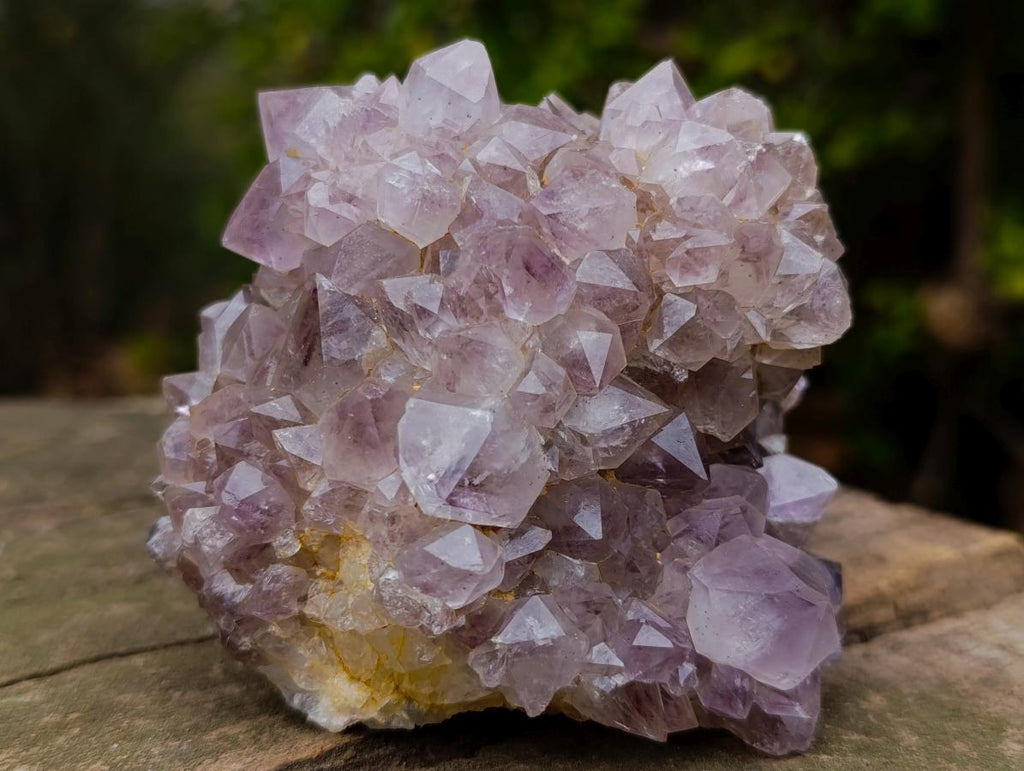 Natural Spirit Amethyst Ball Cluster x 1 From Boekenhouthoek, South Africa