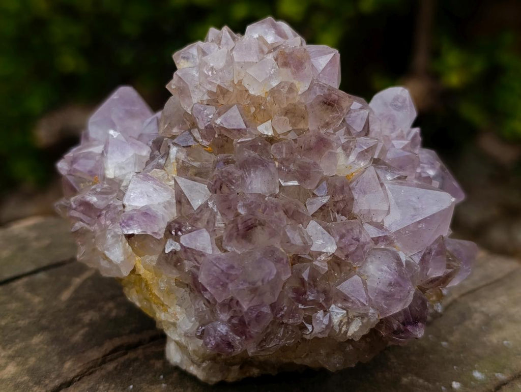 Natural Spirit Amethyst Ball Cluster x 1 From Boekenhouthoek, South Africa