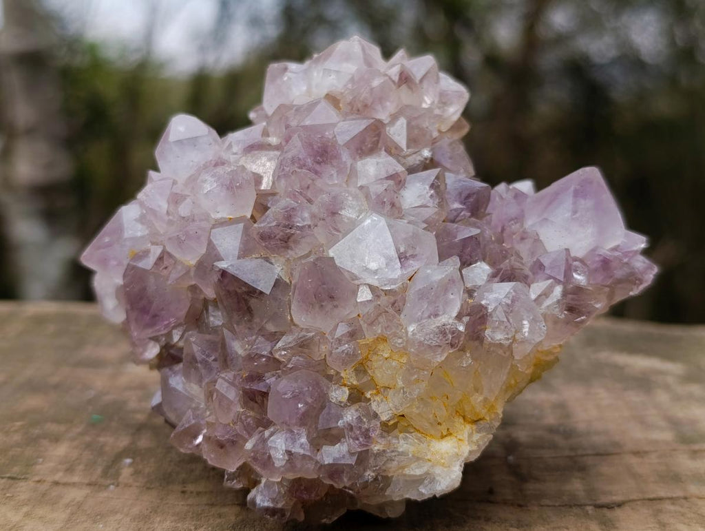 Natural Spirit Amethyst Ball Cluster x 1 From Boekenhouthoek, South Africa
