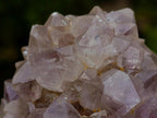 Natural Spirit Amethyst Ball Cluster x 1 From Boekenhouthoek, South Africa