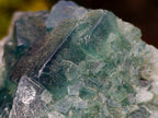 Natural Cubic Green Fluorite Specimen x 1 From Mandrosonoro, Madagascar