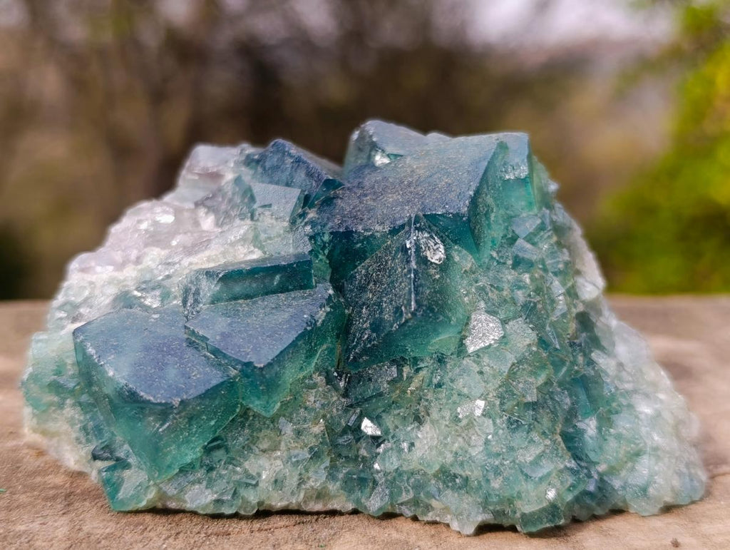 Natural Cubic Green Fluorite Specimen x 1 From Mandrosonoro, Madagascar