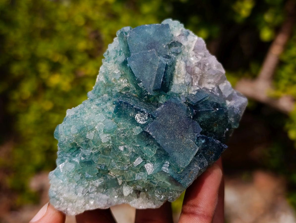 Natural Cubic Green Fluorite Specimen x 1 From Mandrosonoro, Madagascar