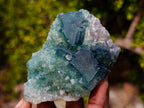 Natural Cubic Green Fluorite Specimen x 1 From Mandrosonoro, Madagascar