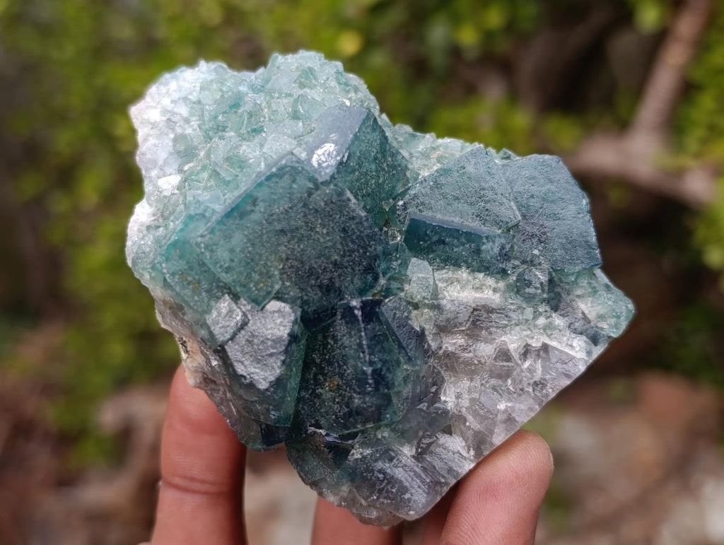 Natural Cubic Green Fluorite Specimen x 1 From Mandrosonoro, Madagascar