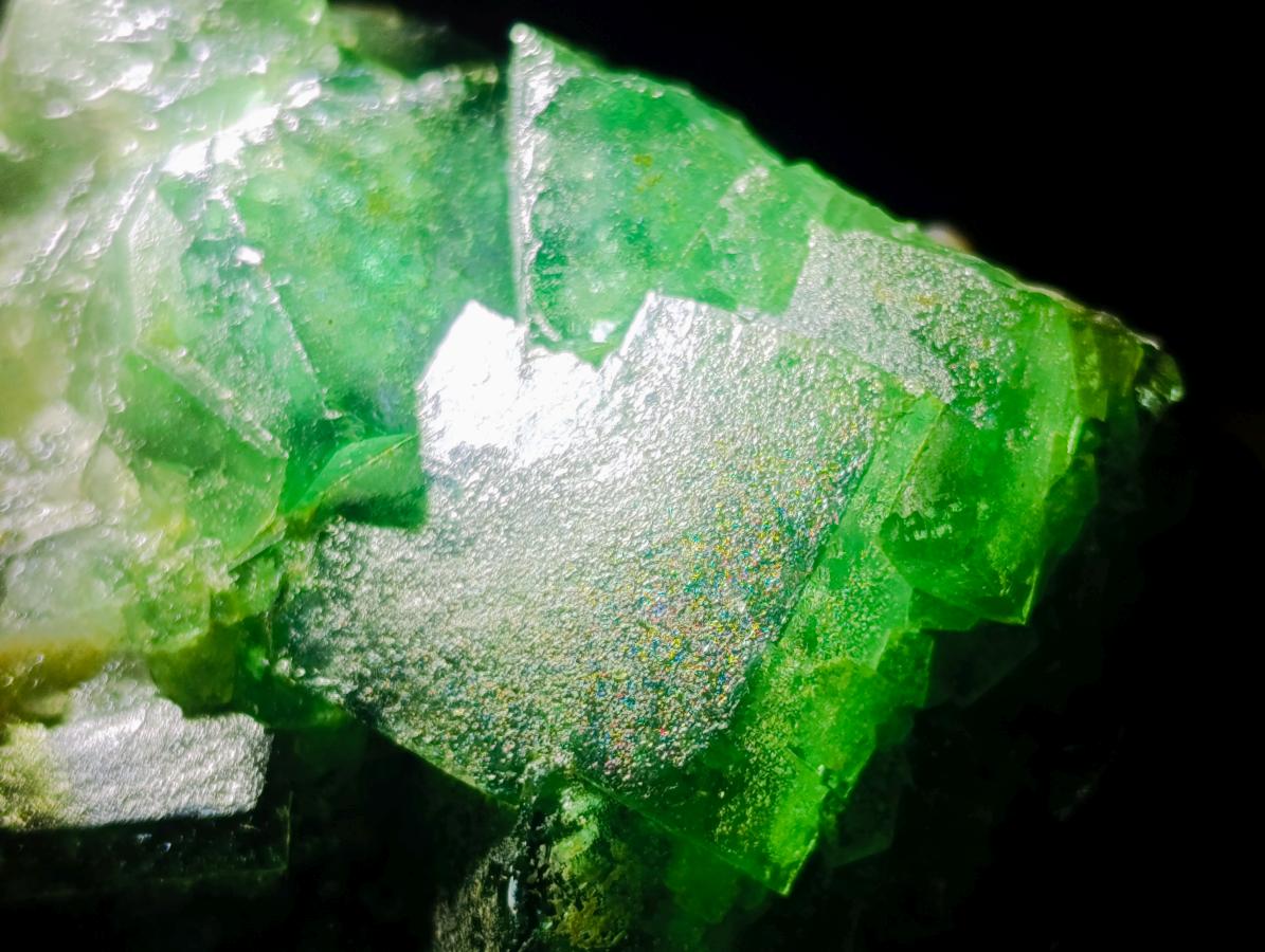 Natural Cubic Green Fluorite Specimen x 1 From Mandrosonoro, Madagascar
