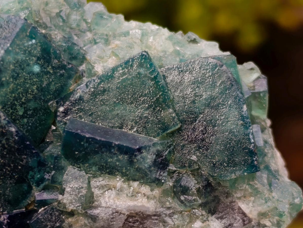 Natural Cubic Green Fluorite Specimen x 1 From Mandrosonoro, Madagascar