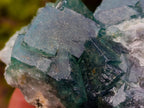 Natural Cubic Green Fluorite Specimen x 1 From Mandrosonoro, Madagascar