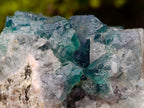 Natural Cubic Green Fluorite Specimen x 1 From Mandrosonoro, Madagascar