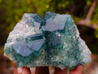 Natural Cubic Green Fluorite Specimen x 1 From Mandrosonoro, Madagascar