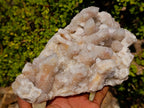 Natural Large Drusy Spirit Quartz Crystal Cluster x 1 From Boekenhouthoek, South Africa