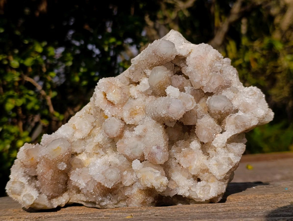 Natural Large Drusy Spirit Quartz Crystal Cluster x 1 From Boekenhouthoek, South Africa