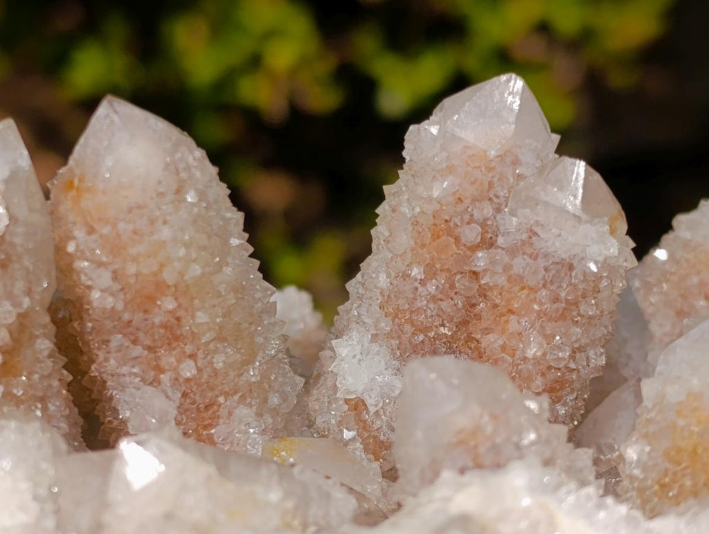 Natural Large Drusy Spirit Quartz Crystal Cluster x 1 From Boekenhouthoek, South Africa