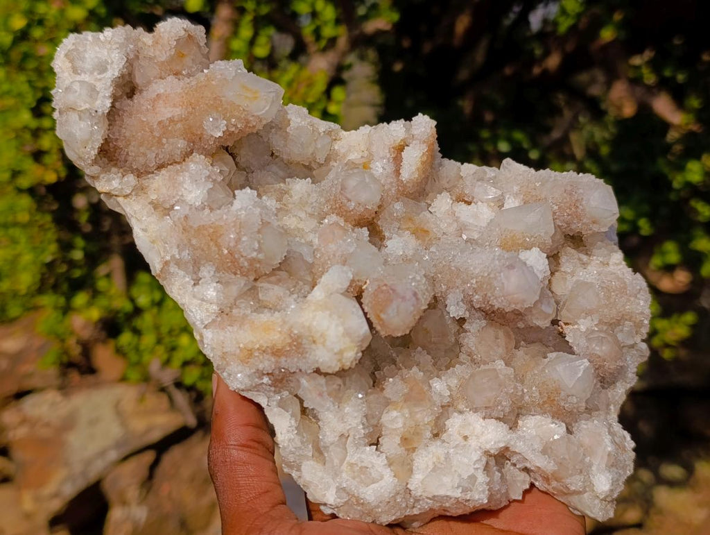 Natural Large Drusy Spirit Quartz Crystal Cluster x 1 From Boekenhouthoek, South Africa