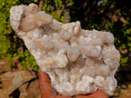 Natural Large Drusy Spirit Quartz Crystal Cluster x 1 From Boekenhouthoek, South Africa