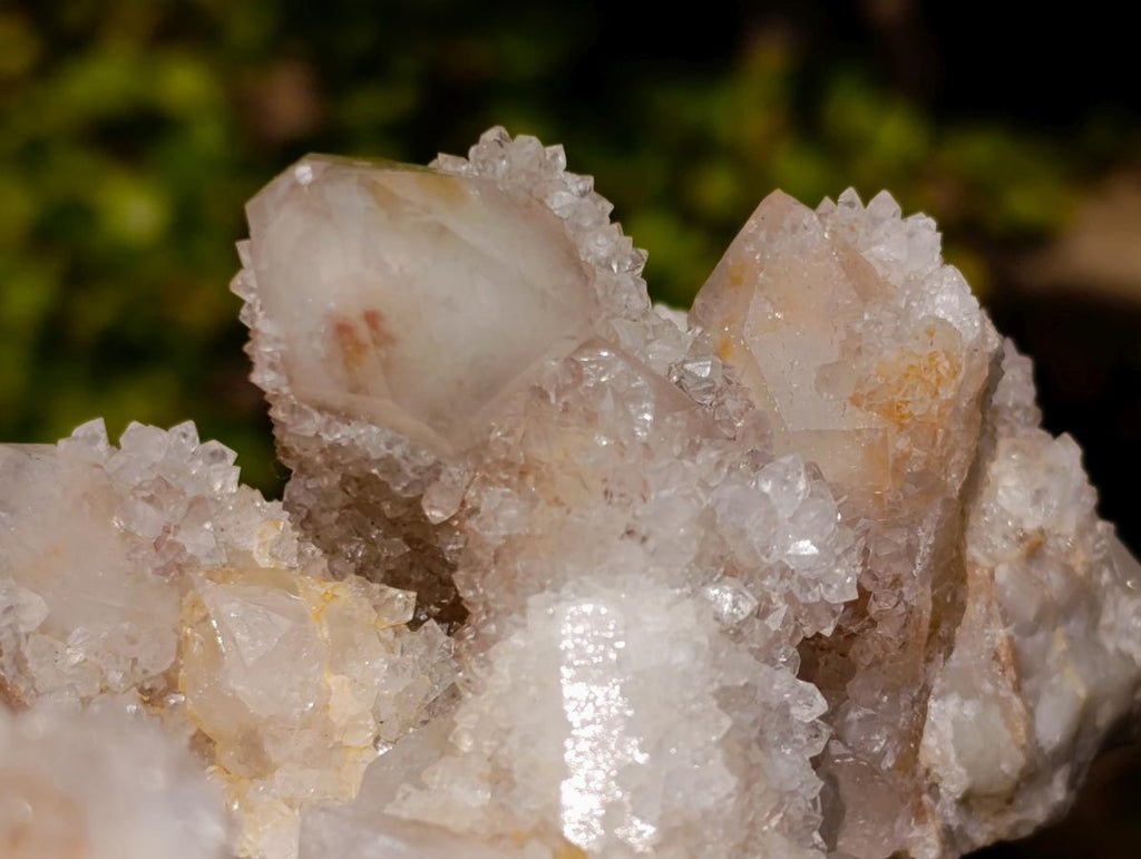 Natural Large Drusy Spirit Quartz Crystal Cluster x 1 From Boekenhouthoek, South Africa