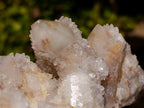 Natural Large Drusy Spirit Quartz Crystal Cluster x 1 From Boekenhouthoek, South Africa