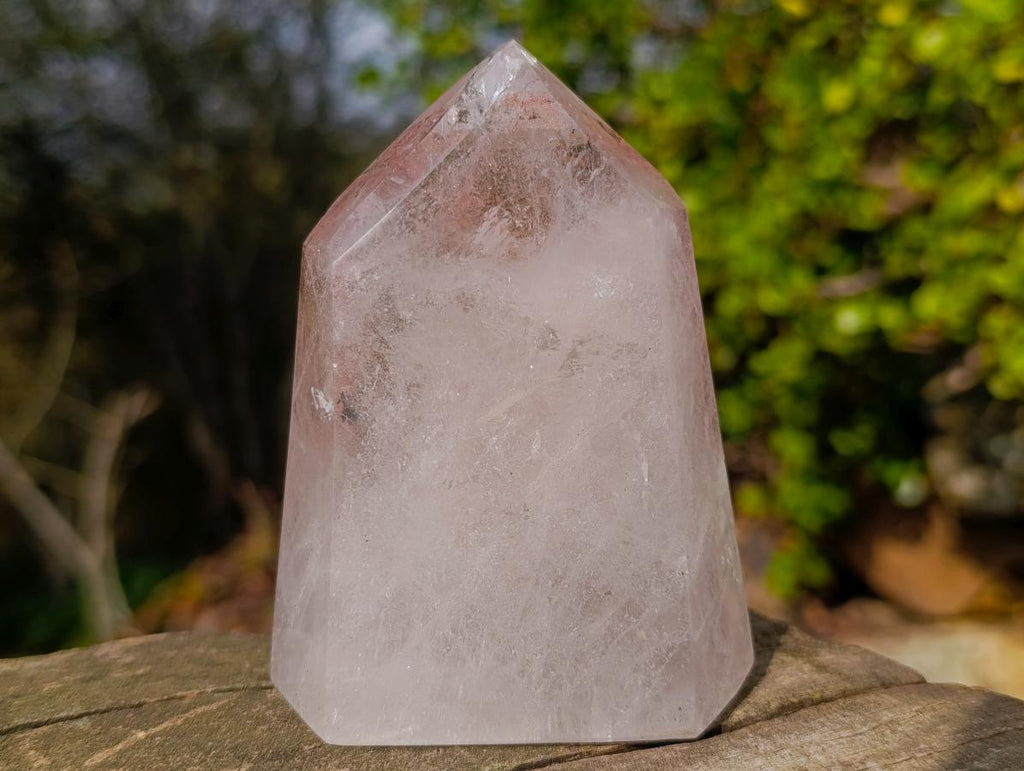 Polished "Harlequin Quartz" Crystal with Lepidolite and Tourmaline Needles x 1 From Madagascar