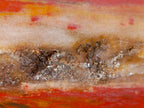 Polished Red Podocarpus Petrified Wood Standing Display Piece with Crystalline Vug x 1 From Mahajanga, Madagascar