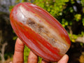 Polished Red Podocarpus Petrified Wood Standing Display Piece with Crystalline Vug x 1 From Mahajanga, Madagascar
