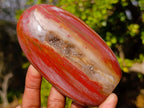 Polished Red Podocarpus Petrified Wood Standing Display Piece with Crystalline Vug x 1 From Mahajanga, Madagascar