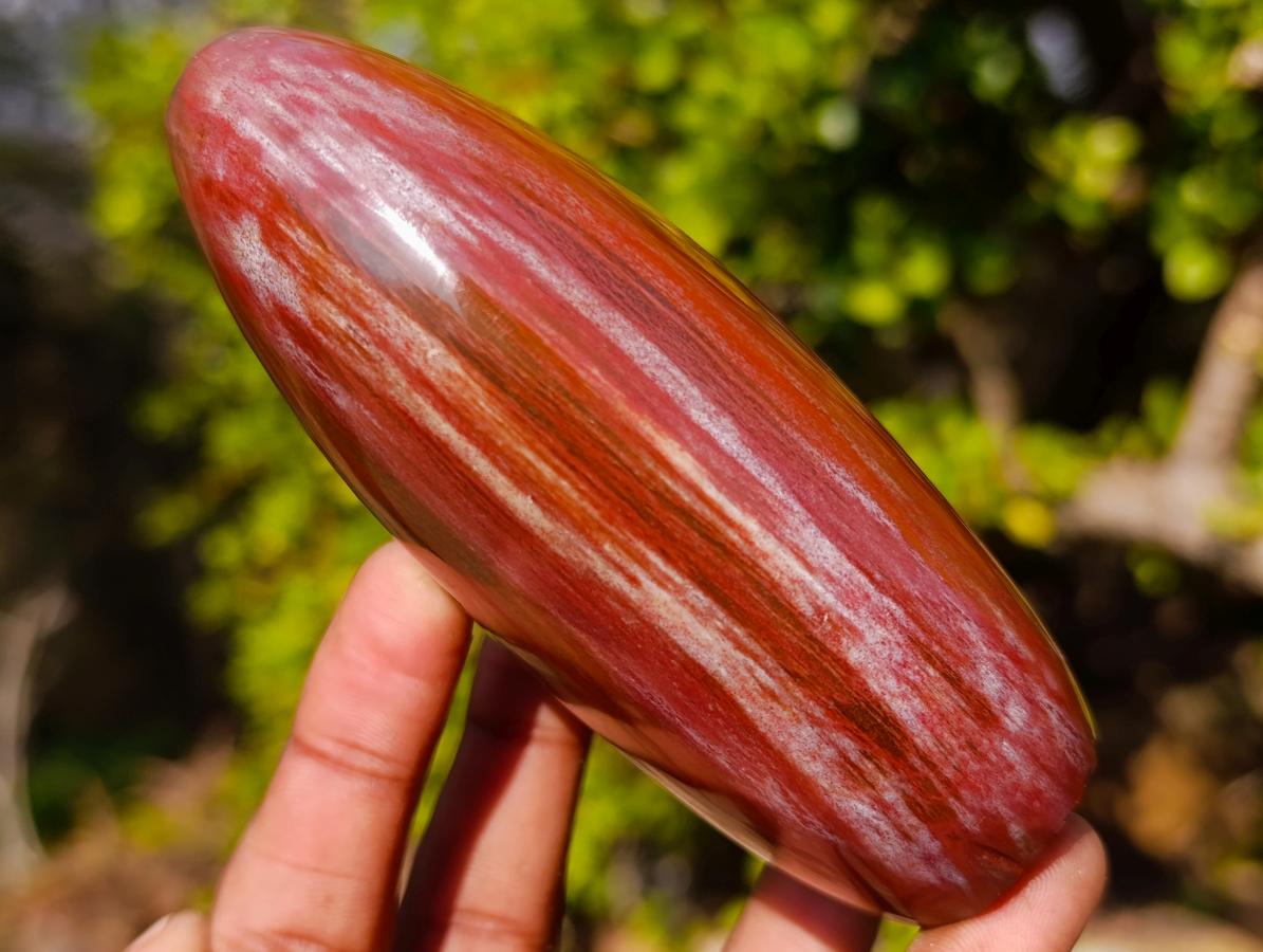 Polished Red Podocarpus Petrified Wood Standing Display Piece with Crystalline Vug x 1 From Mahajanga, Madagascar