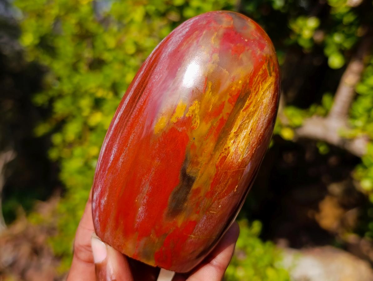Polished Red Podocarpus Petrified Wood Standing Display Piece with Crystalline Vug x 1 From Mahajanga, Madagascar