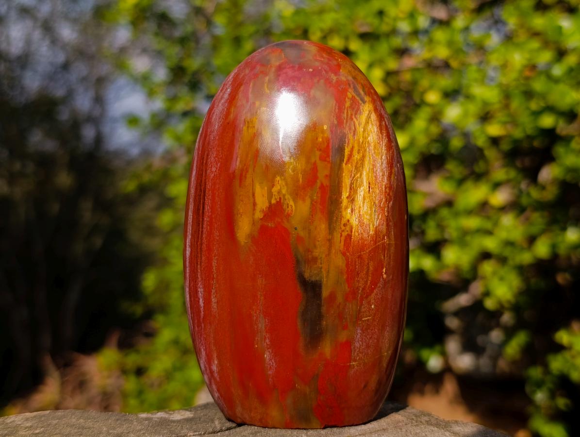 Polished Red Podocarpus Petrified Wood Standing Display Piece with Crystalline Vug x 1 From Mahajanga, Madagascar