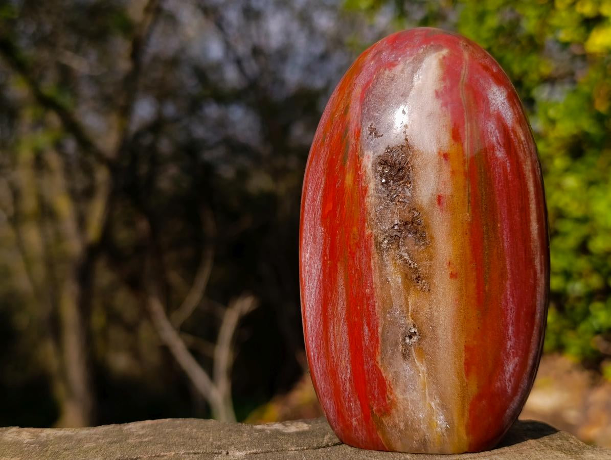 Polished Red Podocarpus Petrified Wood Standing Display Piece with Crystalline Vug x 1 From Mahajanga, Madagascar