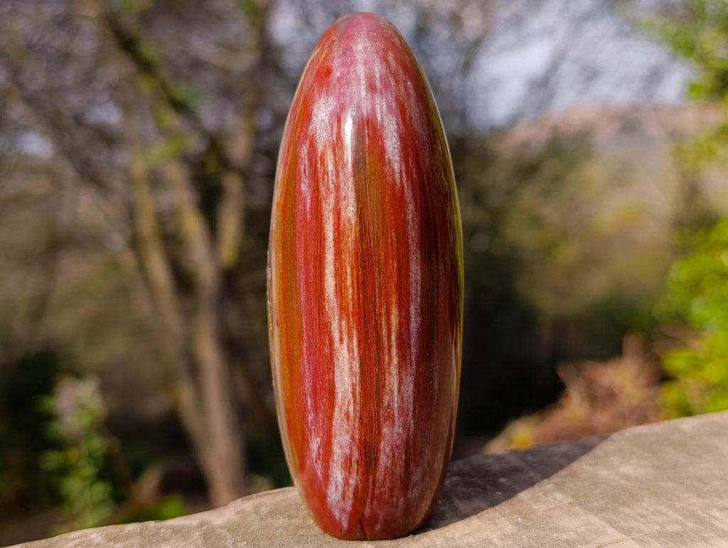 Polished Red Podocarpus Petrified Wood Standing Display Piece with Crystalline Vug x 1 From Mahajanga, Madagascar