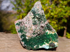 Natural Drusy Dolomite with Malachite and Chrysocolla on Cobalt Matrix x 1 From Kakanda, Congo