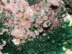 Natural Drusy Dolomite with Malachite and Chrysocolla on Cobalt Matrix x 1 From Kakanda, Congo