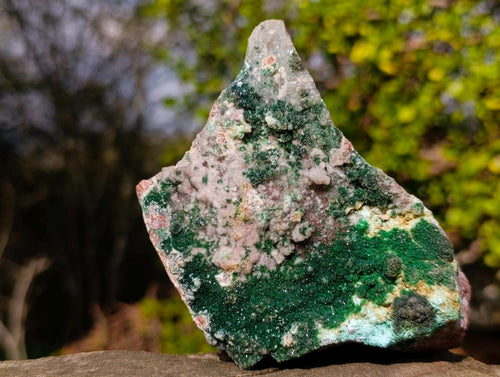Natural Drusy Dolomite with Malachite and Chrysocolla on Cobalt Matrix x 1 From Kakanda, Congo