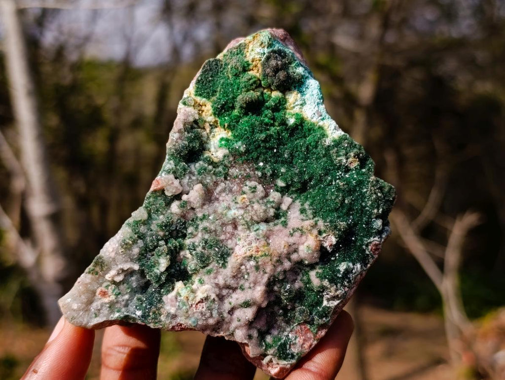 Natural Drusy Dolomite with Malachite and Chrysocolla on Cobalt Matrix x 1 From Kakanda, Congo