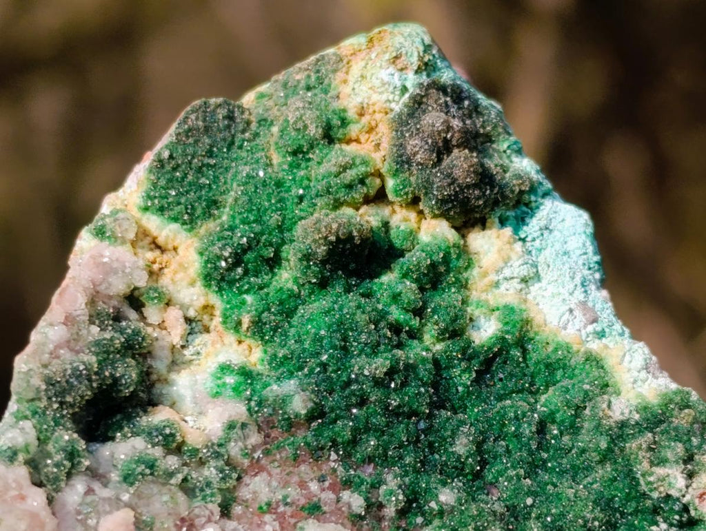 Natural Drusy Dolomite with Malachite and Chrysocolla on Cobalt Matrix x 1 From Kakanda, Congo