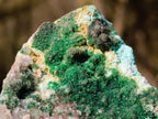 Natural Drusy Dolomite with Malachite and Chrysocolla on Cobalt Matrix x 1 From Kakanda, Congo