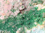 Natural Drusy Dolomite with Malachite and Chrysocolla on Cobalt Matrix x 1 From Kakanda, Congo
