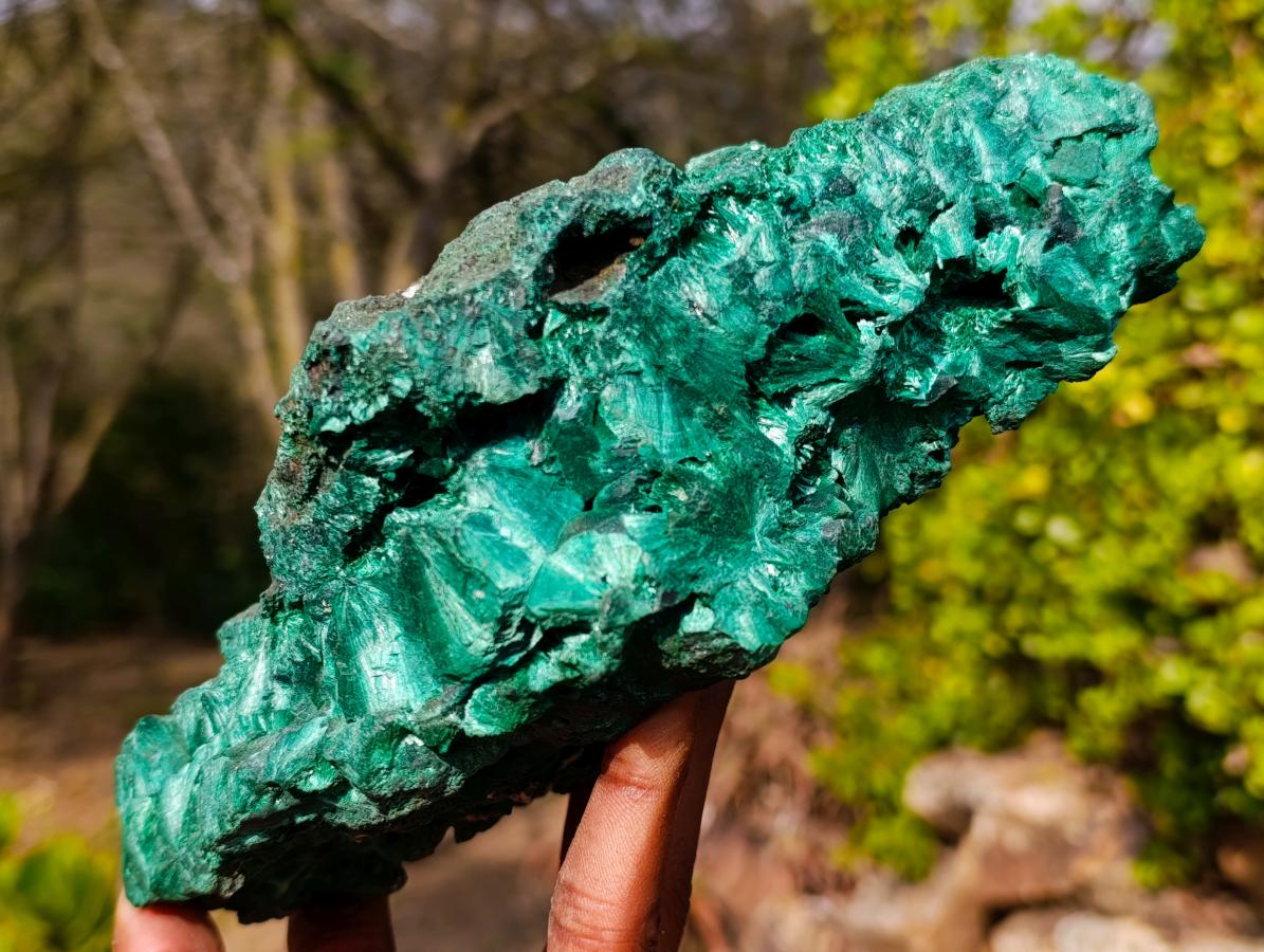Natural Large Silky Malachite Specimen x 1 From Kasompe, Congo