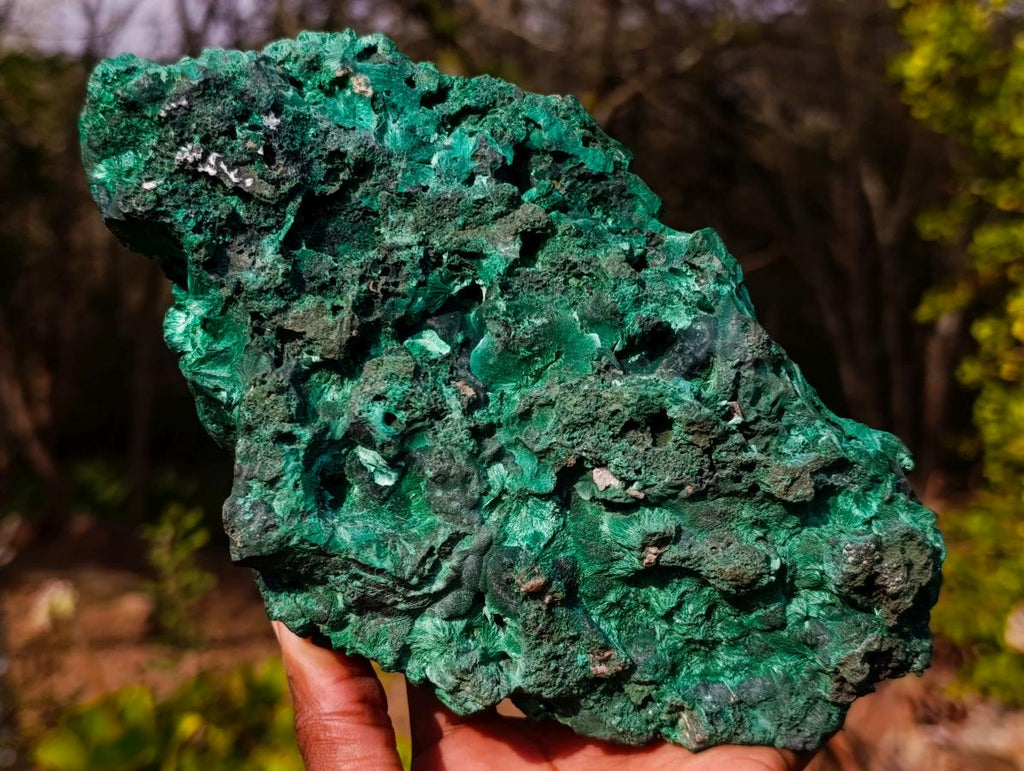 Natural Large Silky Malachite Specimen x 1 From Kasompe, Congo