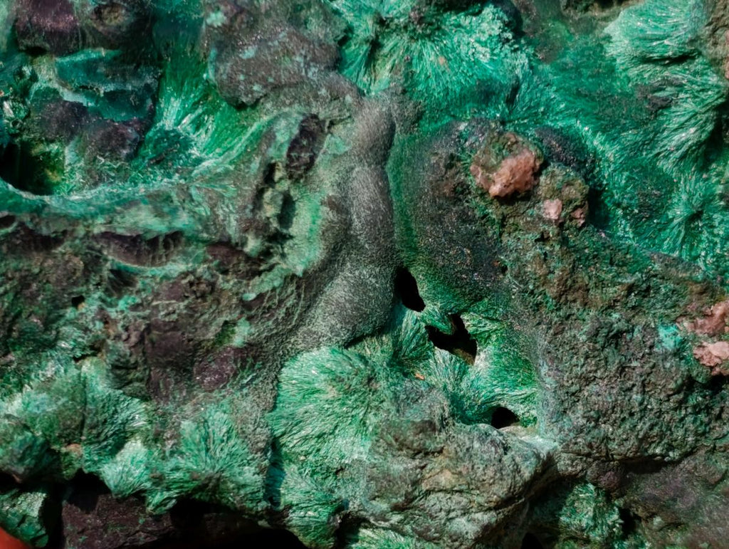 Natural Large Silky Malachite Specimen x 1 From Kasompe, Congo