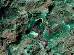 Natural Large Silky Malachite Specimen x 1 From Kasompe, Congo