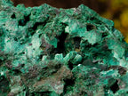 Natural Large Silky Malachite Specimen x 1 From Kasompe, Congo