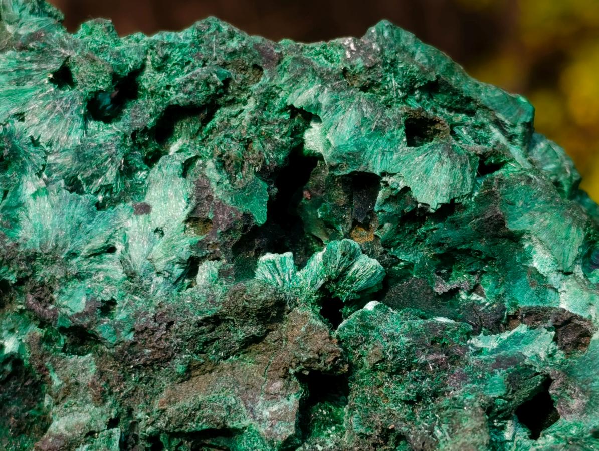 Natural Large Silky Malachite Specimen x 1 From Kasompe, Congo