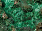 Natural Large Silky Malachite Specimen x 1 From Kasompe, Congo