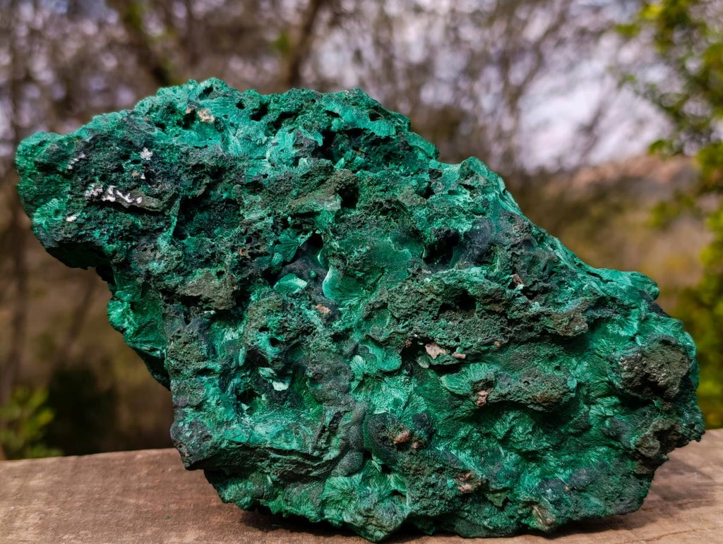 Natural Large Silky Malachite Specimen x 1 From Kasompe, Congo