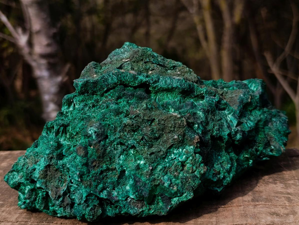 Natural Large Silky Malachite Specimen x 1 From Kasompe, Congo