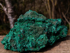 Natural Large Silky Malachite Specimen x 1 From Kasompe, Congo