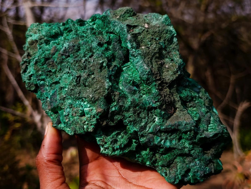 Natural Large Silky Malachite Specimen x 1 From Kasompe, Congo