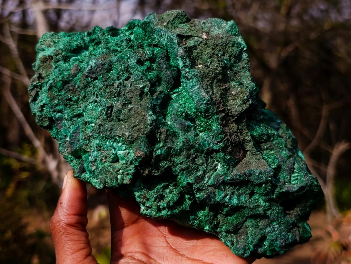 Natural Large Silky Malachite Specimen x 1 From Kasompe, Congo